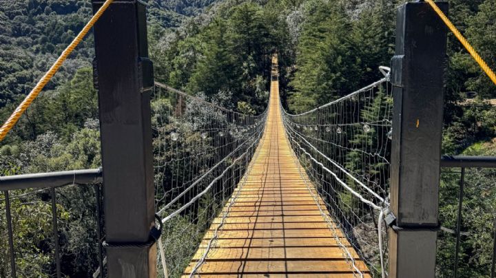 El pueblito donde caminas sobre el puente colgante más largo de Hidalgo; así es