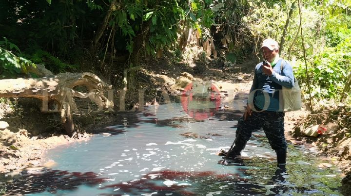 Contaminación y fauna muerta: el nuevo ecocidio de Pemex en la sierra de Las Choapas, Veracruz