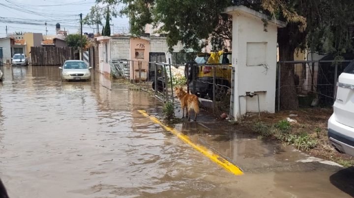 Prevén lluvias torrenciales en Hidalgo por ingreso del frente frío número 50; advierten inundaciones y deslaves