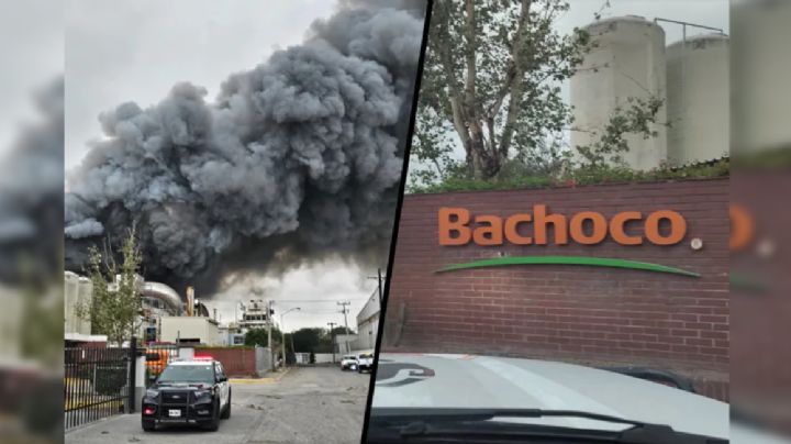 Tras incendio en planta de Bachoco, trabajadores son reubicados en Celaya, Puebla y NL
