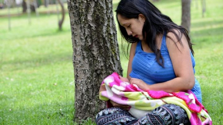¿Maternidad o individualismo? los retos del feminismo de cara a la crisis civilizatoria