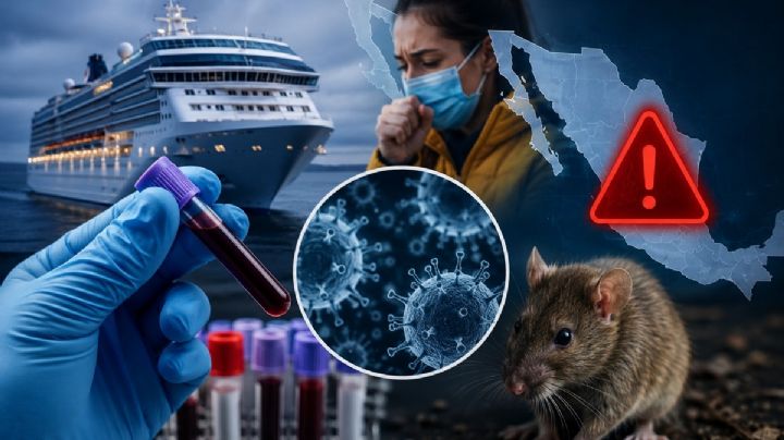 México emite alerta epidemiológica por brote de hantavirus en crucero