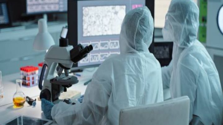 Muertes reales por Covid-19 superan ampliamente datos oficiales, dice OMS