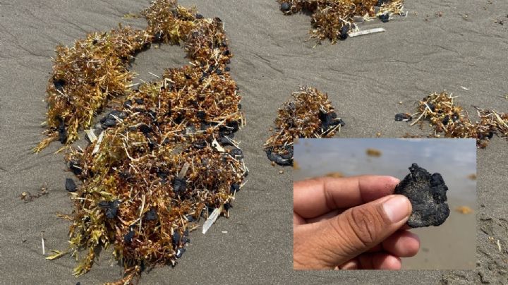 Sargazo y crudo recalan en playas de Coatzacoalcos y Pajapan, este miércoles 13 de mayo