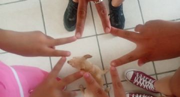Elda recuperó a su hija y busca reconstruir su hogar tras violencia vicaria
