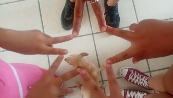Elda recuperó a su hija y busca reconstruir su hogar tras violencia vicaria