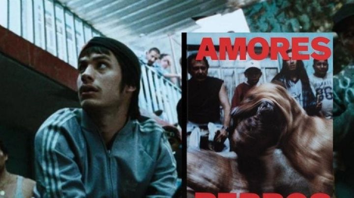 Amores Perros 25 años: precio del libro, dónde comprarlo y fecha de la firma de González Iñárritu