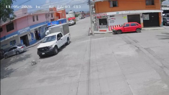 Nuevo maltrato animal en Hidalgo: camioneta atropella a perro y huye | VIDEO