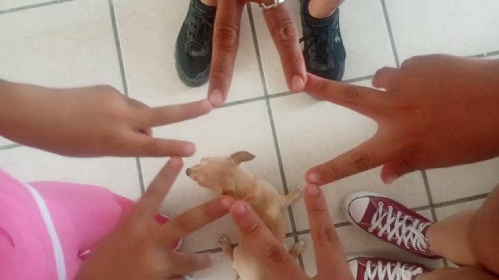 Elda recuperó a su hija y busca reconstruir su hogar tras violencia vicaria