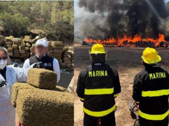 Decomisan e incineran 12 toneladas de marihuana en Ensenada