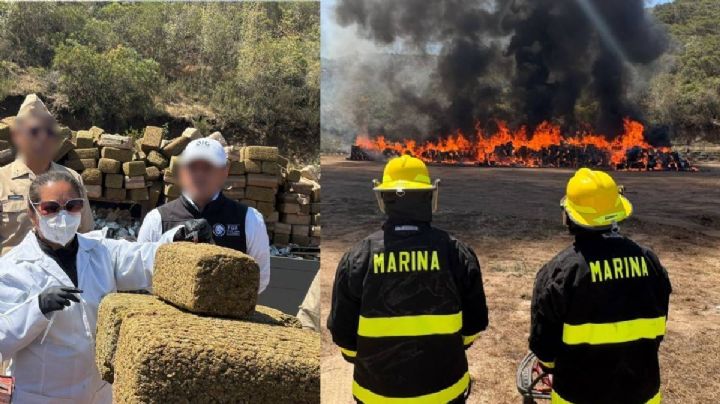 Decomisan e incineran 12 toneladas de marihuana en Ensenada, Baja California