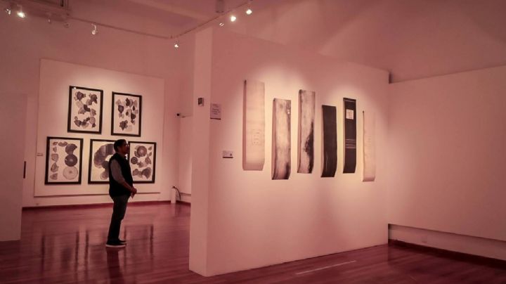 Arte y deporte se unen en Pachuca con la primera “Cultura Social Run”