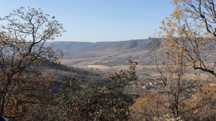 Asociaciones civiles reforestarán Sierra de Lobos para cuidar sus grandes bosques