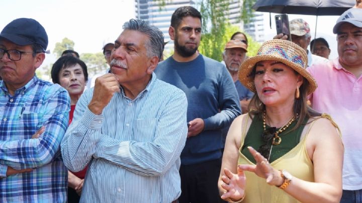 Protestan en Pachuca por presunta tala de árboles; no hay intensión de derribarlos: autoridades