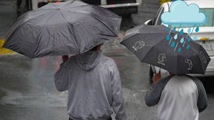 ¿Cuántos frentes fríos llegaron a Veracruz? Esto reportó Meteorología de la temporada 2025-2026