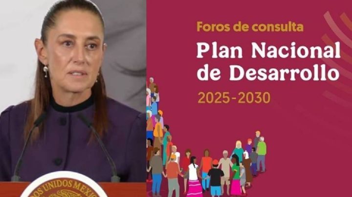 Se aprueban programas especiales del Plan Nacional de Desarrollo 2025-2030