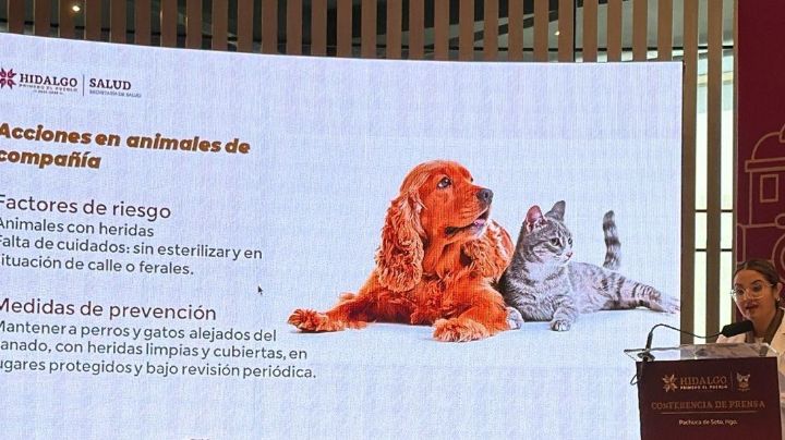 Salud Hidalgo confirma siete casos de gusano barrenador en humanos