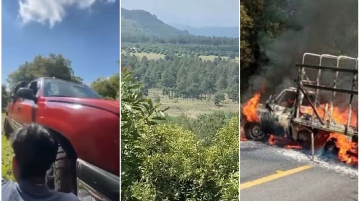 Video: agricultores de aguacate quedan entre el fuego cruzado en Charapan, Michoacán
