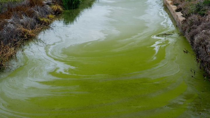 Gobierno de EU va por tumbar límites a químicos tóxicos en agua potable