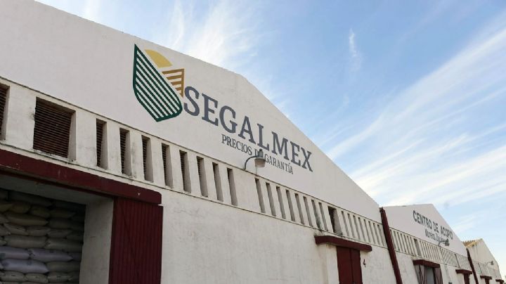 Extradición de Alex Saab reabre caso de venta de alimentos de Segalmex a régimen de Maduro
