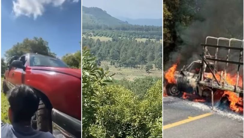Video: agricultores de aguacate quedan entre el fuego cruzado en Charapan, Michoacán