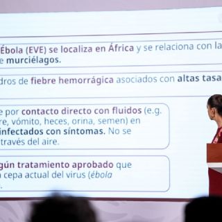 Salud mantiene vigilancia epidemiológica y alerta de viaje por hantavirus y ébola