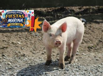 Animalistas frenan evento del "puerco encebado" en Tecolutla