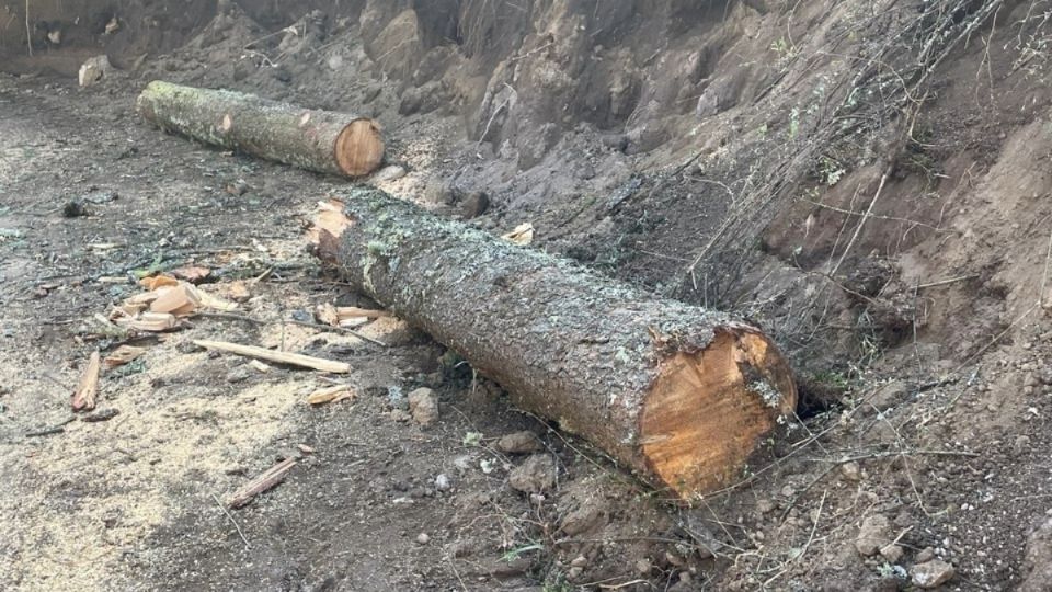 El Parque Nacional El Chico tiene una extensión de 2 mil 739 hectáreas
