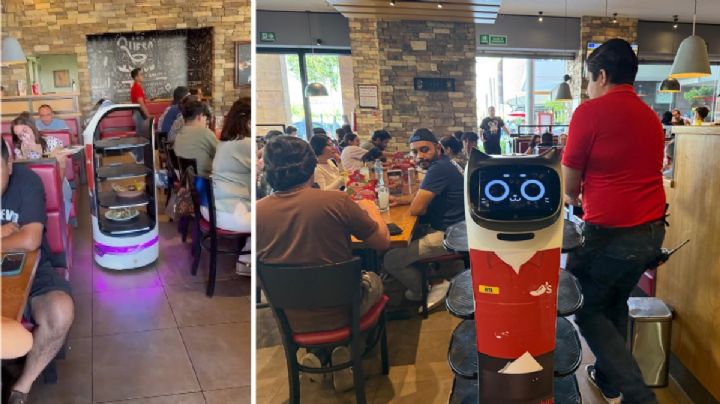 La robot mesera "Rita" muestra eficiencia en Chili's de Altacia en León