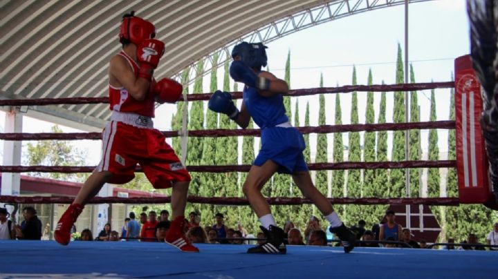 Gobierno de Pepe Chedraui desarrolla la sexta y séptima función del Torneo de Barrios de Box 2026