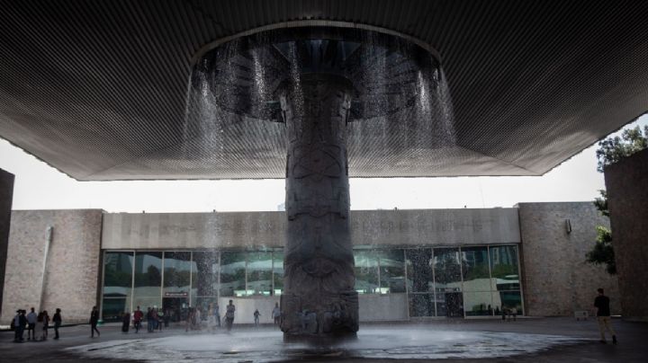 ¿Qué pasó en el Museo de Antropología? Muere trabajador tras fuerte caída