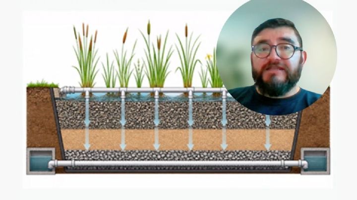 Humedales artificiales, alternativa para tratar aguas residuales