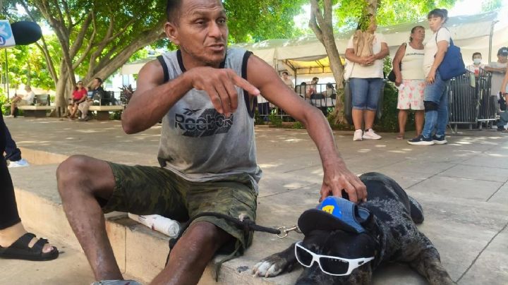 Caso Zeus en Yucatán: ¿se debe de sacrificar a un perro por morder a otro? Mérida abre debate