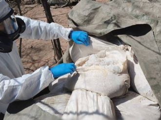 Desmantelan 3 narcolaboratorios en Sinaloa; aseguran 4 toneladas de metanfetamina