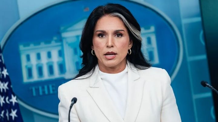 Otra baja en gabinete de Trump; Tulsi Gabbard renuncia como directora de Inteligencia