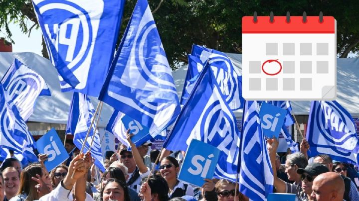 Solo mujeres podrán buscar dirigencia del PAN en Veracruz; renovación será en julio