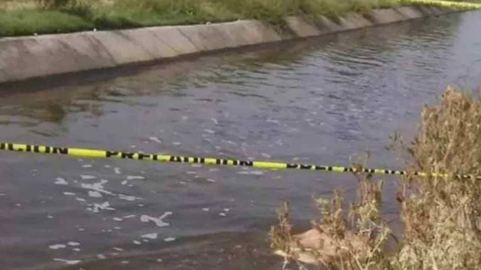 El cuerpo sin vida de un hombre de entre 40 y 50 años fue localizado flotando en las aguas del Canal Requena; la víctima, que vestía una camisa azul claro, permanece en calidad de desconocida debido a que no portaba identificaciones.
