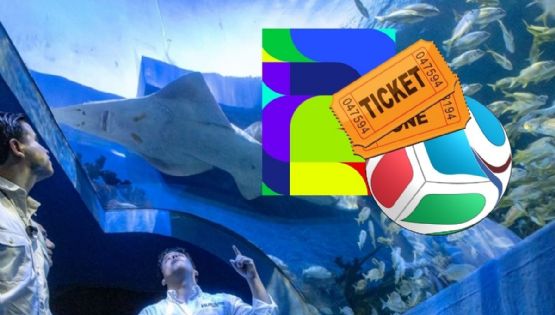 Aquarium de Veracruz tendrá boleto conmemorativo del mundial 2026 por tiempo limitado