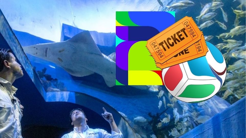 Aquarium de Veracruz tendrá boleto conmemorativo del mundial por tiempo ilimitado