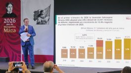 Foto que representa a Cifras de la Secretaría de Economía sobre IED despiertan reservas