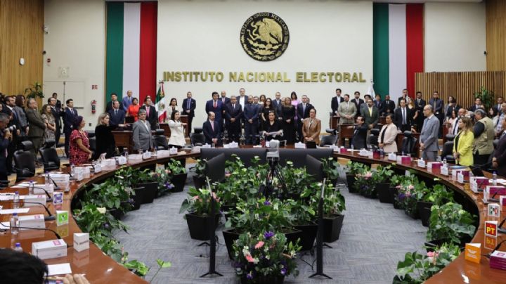 INE no debe definir riesgo de candidaturas, sostiene Taddei