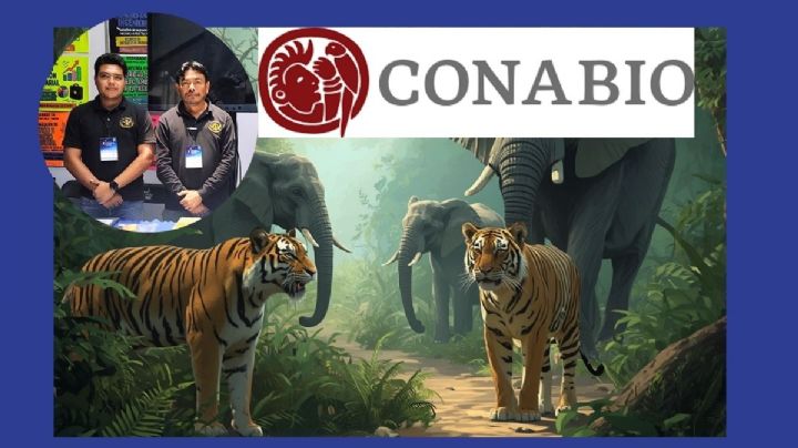 UV desarrolla investigación para la conservación de fauna silvestre