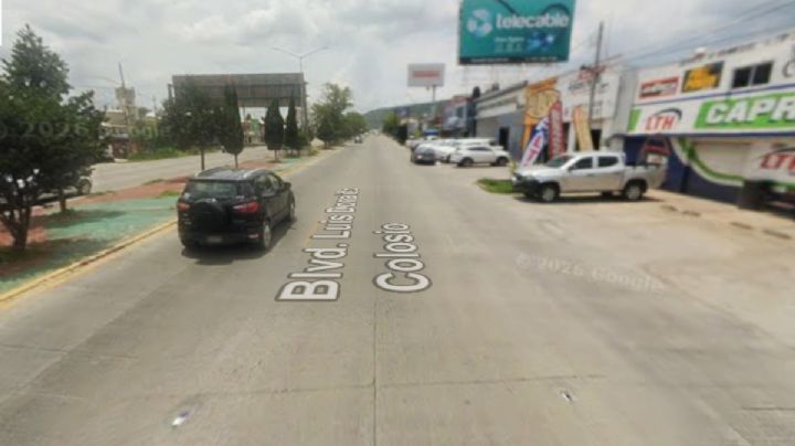 Prevén derribo de árboles en bulevar Colosio de Pachuca; vecinos piden proteger zonas verdes
