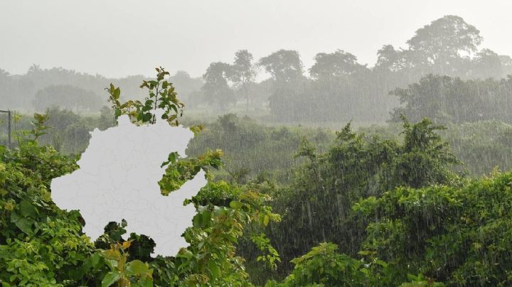Hidalgo "reverdece" por las recientes lluvias con granizo registradas | IMGÁGENES POR SATÉLITE