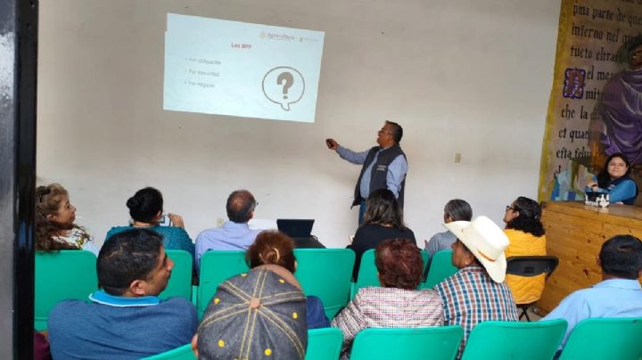 Escuela de Campo en Tulancingo apuesta por profesionalizar a apicultores