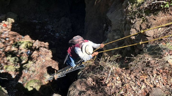 Cueva repleta de especies de murciélagos permaneció oculta en Hidalgo; así es