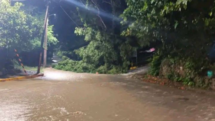 Reportan caída de árboles y falla eléctrica tras intensas lluvias en estos municipios