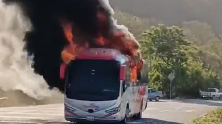 Violencia en Michoacán: incendian autobús en Aquila tras homicidio de 4 personas