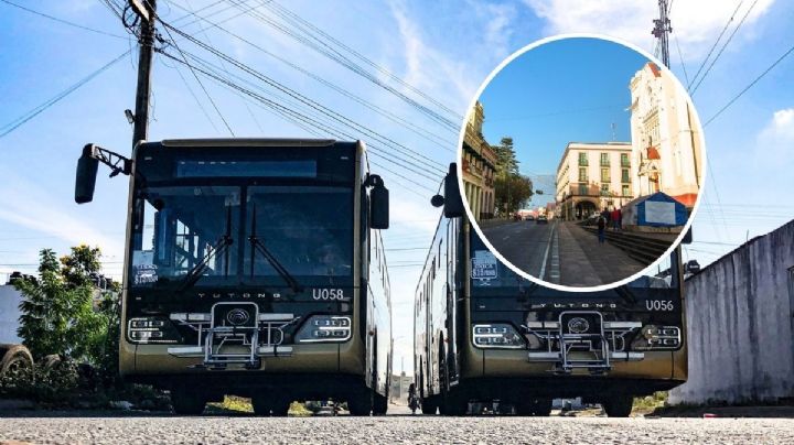 Nuevos camiones de Xalapa ahora se llamarán Atenas y no Olmeca, confirma Nahle