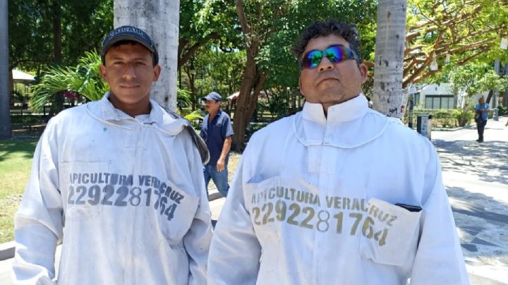 Ser apicultor en Veracruz: mover 50 mil abejas sin matarlas tiene un valor que pocos pagan
